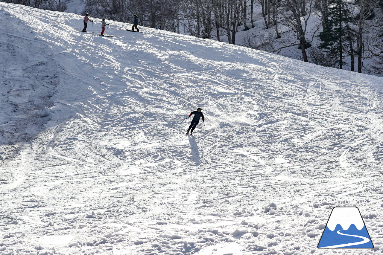 富良野スキー場 のんびりとした雰囲気漂う春のゲレンデ。そこに、サプライズゲスト・プロスキーヤー山木匡浩さん登場！